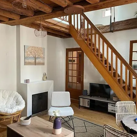 Apartment Le Duplex De La Reine - T3 Cosy Au Coeur De Chambery